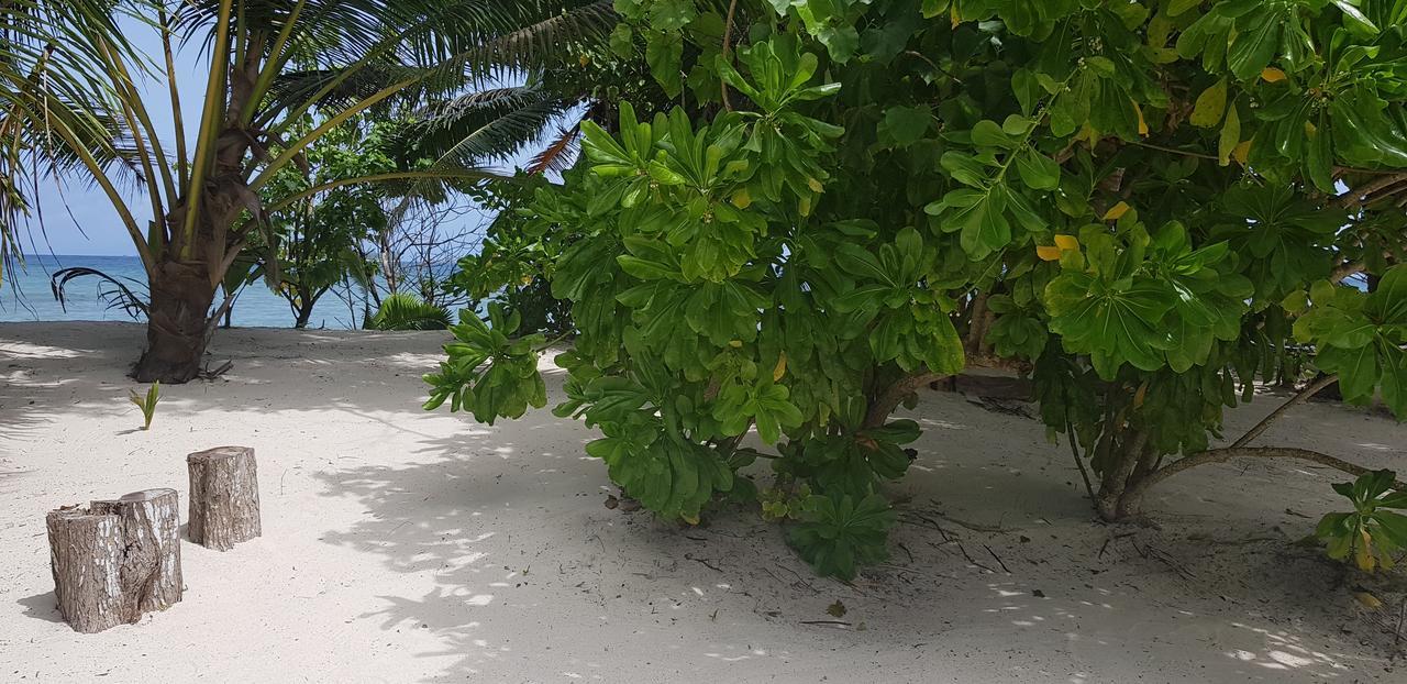 Villa Admiral Grand Anse  Kültér fotó