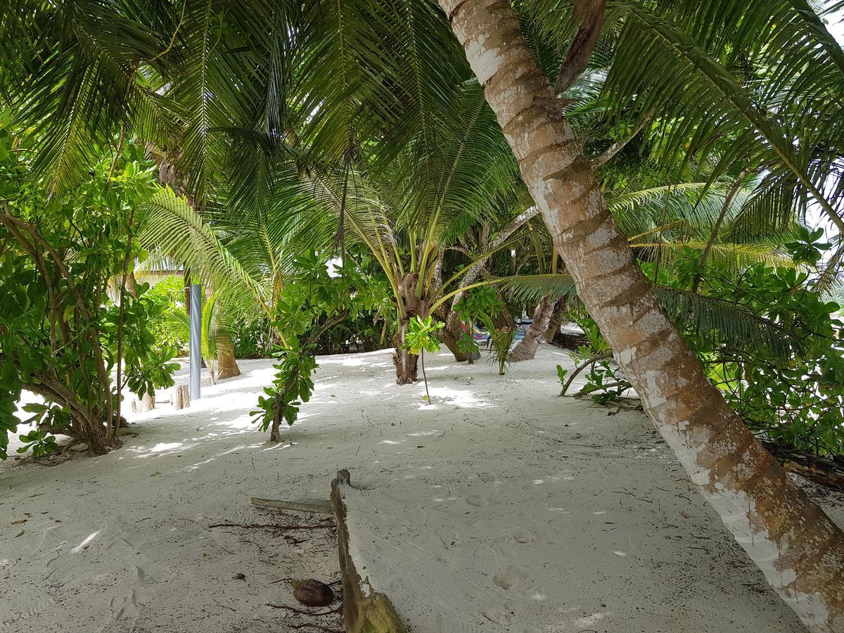 Villa Admiral Grand Anse  Kültér fotó