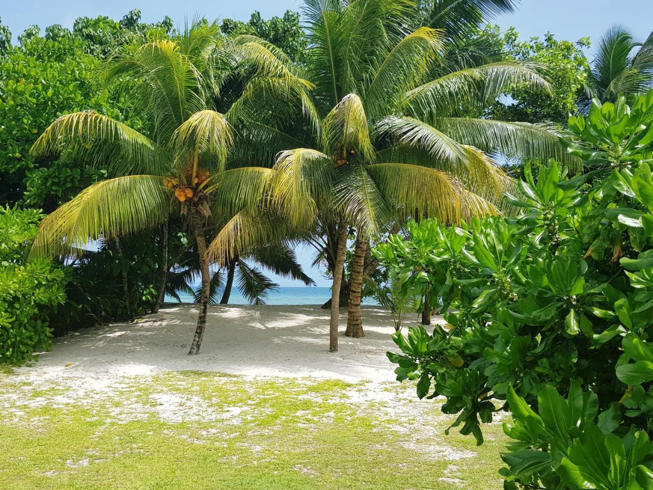 Villa Admiral Grand Anse  Kültér fotó